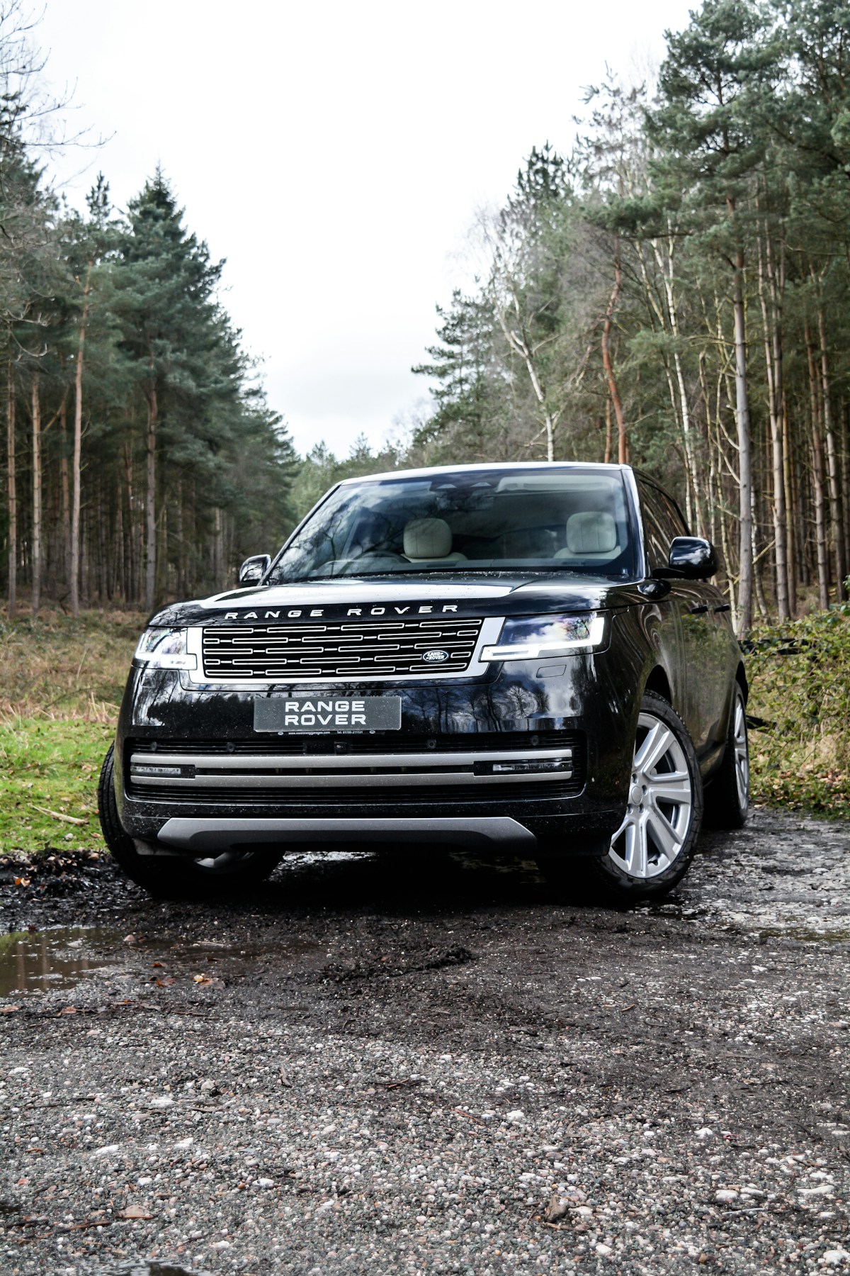 A beautifully designed performance car